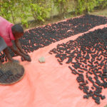 Ugandan entrepreneur uses briquettes to address gender and development issues